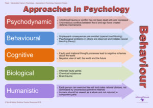 how to write a case study psychology